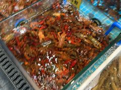 -浦商菜市场·锦德店