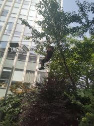 -可可天空农场(中大店)