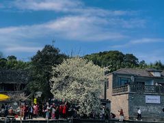 -东钱湖旅游度假区