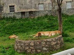 -西安秦岭野生动物园
