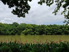 -海珠湖公园