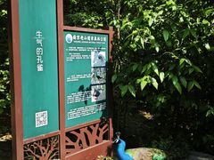 -南京老山国家森林公园
