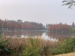 -白鹭湾湿地公园