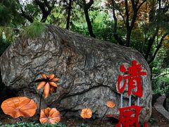 -莲湖公园