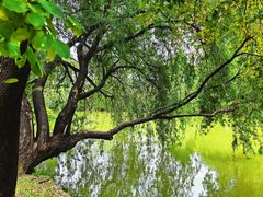 -人民公园(罗湖区)