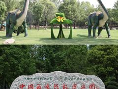 -中国西峡恐龙遗迹园
