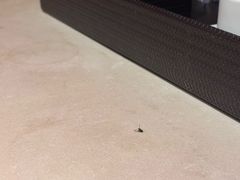 -秦皇岛阿尔卡迪亚滨海度假酒店