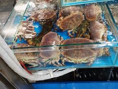 -岳各庄批发市场(西四环中路店)