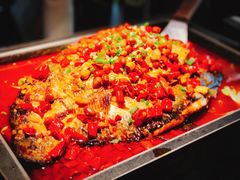 海鲈鱼-炉鱼(萧山万象汇店)