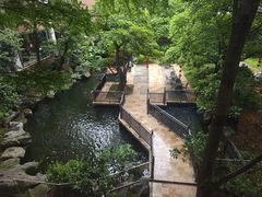 -新世纪大酒楼·30年南海菜