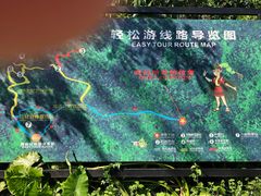 -呀诺达热带雨林