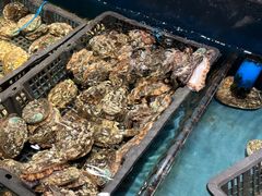 -龙宴海鲜城(经中路店)