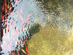 -乐山大佛风景名胜区乌尤寺南门-售票点