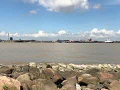 -上海吴淞炮台湾国家湿地公园