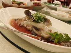 -上海和平饭店龙凤厅 Dragon Phoenix