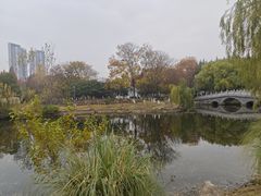 -月湖风景区