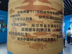 -青岛海底世界-水族馆