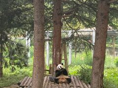 -西安秦岭野生动物园