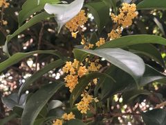 -上海市龙华烈士陵园