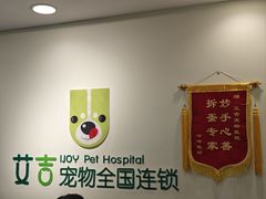 -艾吉宠物医院·疑难杂症转诊中心·猫友好(碧江路院)