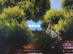 -叩齿古寺