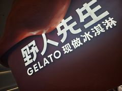 -野人先生现做冰淇淋(北京王府井东方新天地店)