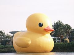 -深圳人才公园