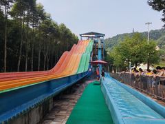 -重庆海昌加勒比海水世界