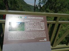 -苍山感通索道