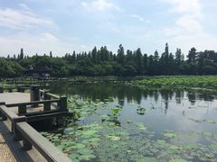 -西湖游船