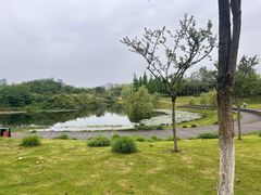 -眉山湿地公园(东坡区)