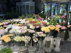 -双季花艺园艺市场(浦东店)
