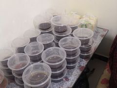 -37号老院坝抄手(马王庙37号院店)