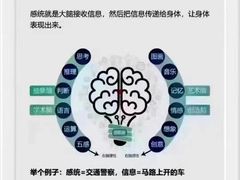 -金色雨林感统训练·专注力·语言认知·心理沙盘(天通苑校区)