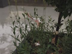 -USTC1958东区·by UNILAB
