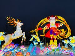 -武汉园博园(武汉自然博物馆)