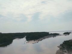 -北海金海湾红树林生态旅游区