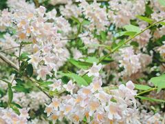 -朝阳公园