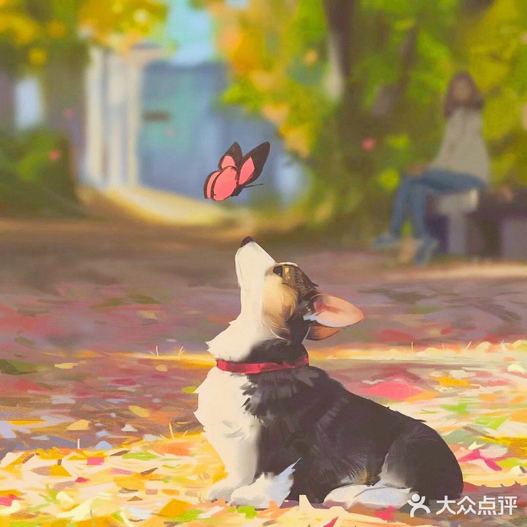 秋日里的狗狗