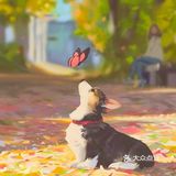 秋日里的狗狗
