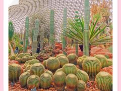 -上海辰山植物园