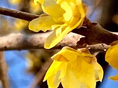 -宣武艺园