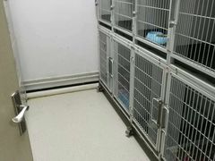 -全心全意连锁动物医院(加州店)