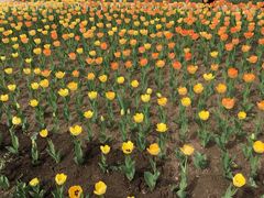 -长春公园(普阳街道)