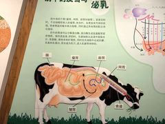 -君乐宝优致牧场