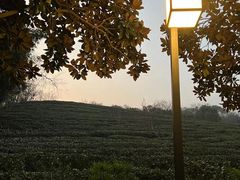 -翠茗农庄土菜馆(天目湖店)