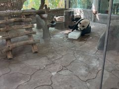 -宁波野生动物园