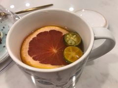 蜂蜜柚子茶-飞行喵MR PILOT|猫舍·猫咖(静安大融城店)