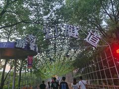 -横店影视城梦幻谷园区