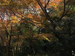 -常寂光寺